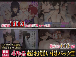 【期間限定60％OFFセール！！】【第5弾】ふたわーくす4作品お買い得パック！ーふたわーくす 33