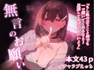 無言のお願いーぞるそるサポート 33